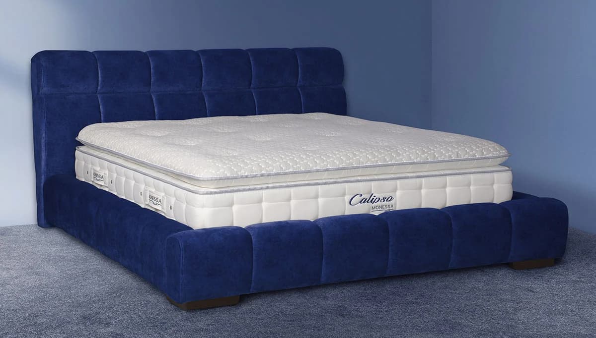 تشک مونسا  cover