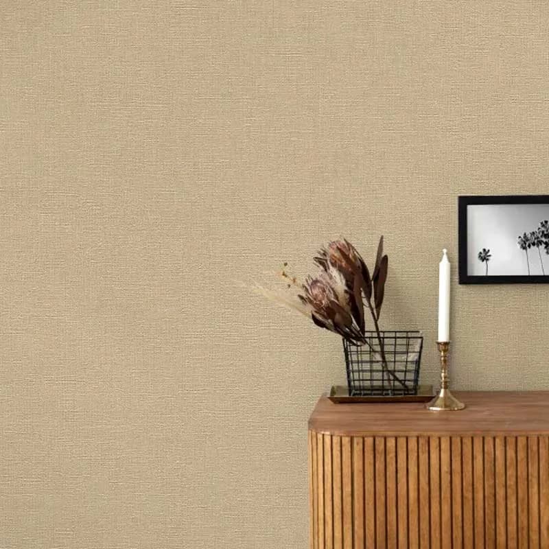 کاشیانه cover